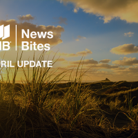 GIB® NewsBites - April 2025