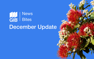 GIB® NewsBites - December 2025