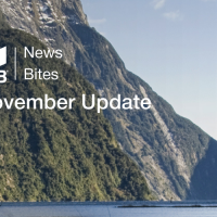 GIB® NewsBites - November 2025