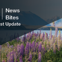 GIB® NewsBites - August 2026