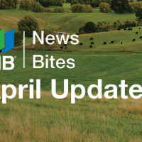 GIB® NewsBites - April 2026