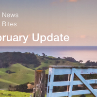 GIB® NewsBites - February 2026